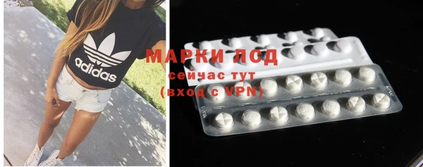 трава Инта
