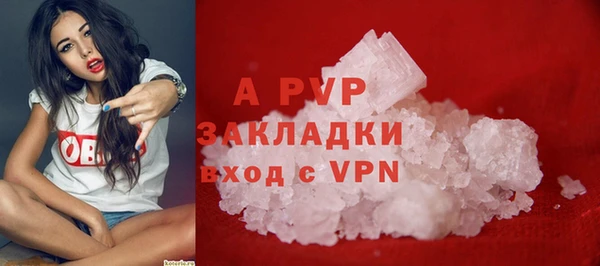 трава Инта