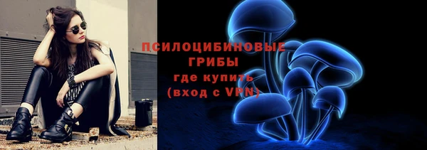 трава Инта