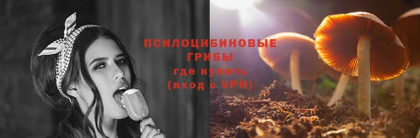трава Инта