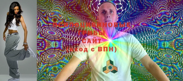 мяу мяу мука Инсар