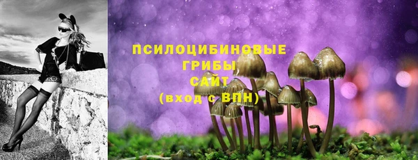 трава Инта